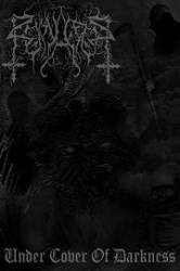 Ruinaerus : Under Cover of Darkness